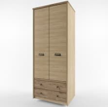 Шкаф для одежды «Дизель» 2DG2S/D1, веллингтон от магазина Мебельный дом
