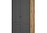 Шкаф «Лацио Сканди» 2д, Вотан/Сканди графит. Фото 1