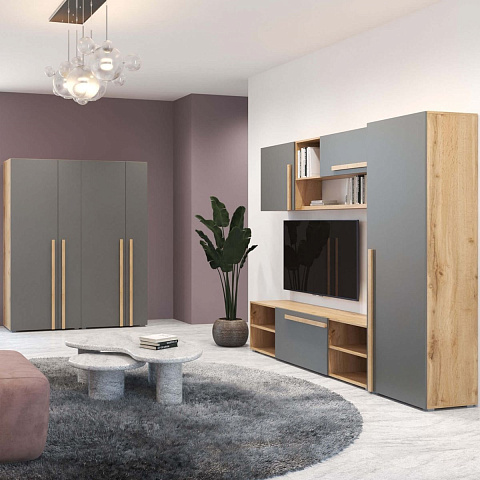 Шкаф «Виллитус» М1 2д, Дуб вотан/Графит. Фото 4